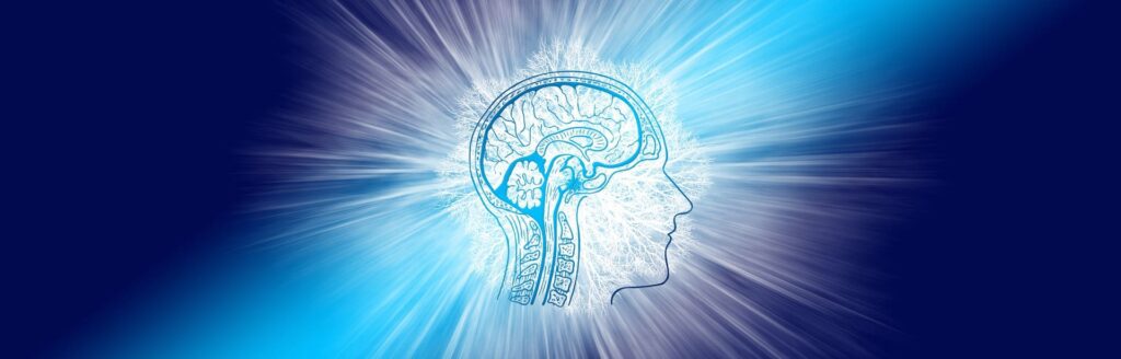 neuroscience | cerveau | état d'esprit